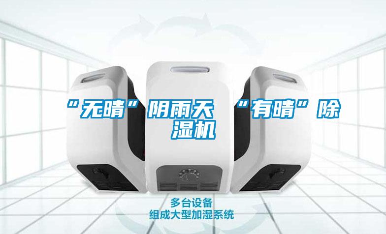 “无晴”阴雨天 “有晴”除湿机