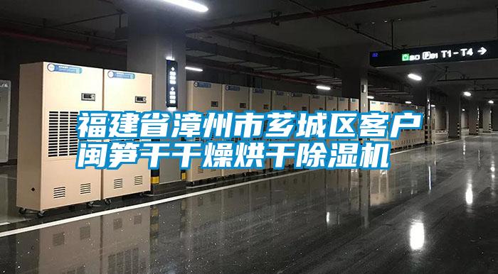 福建省漳州市芗城区客户闽笋干干燥烘干除湿机