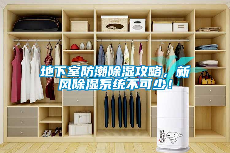 地下室防潮除湿攻略,新风除湿系统不可少!