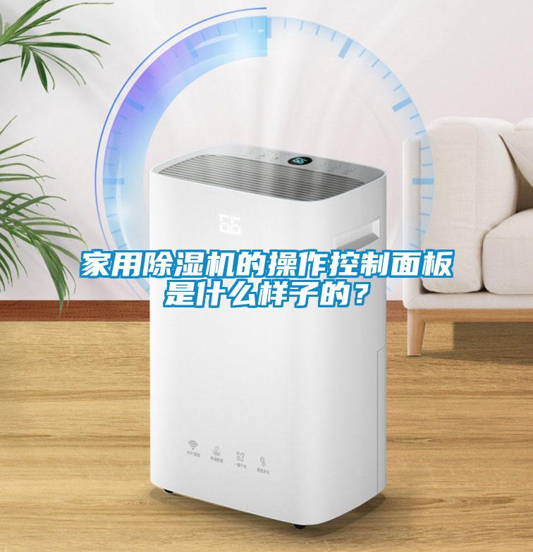 家用除湿机的操作控制面板是什么样子的？