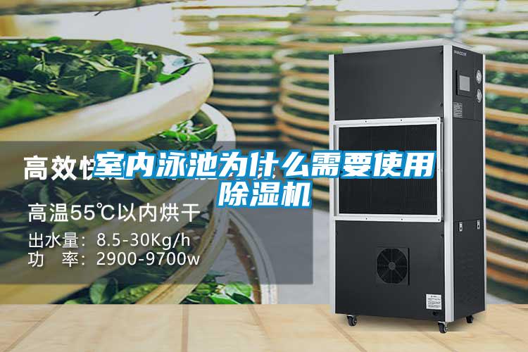 室内泳池为什么需要使用除湿机