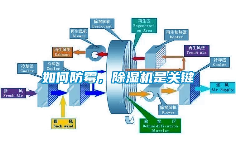 如何防霉，除湿机是关键