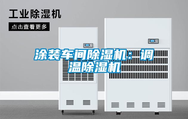 涂装车间除湿机：调温除湿机