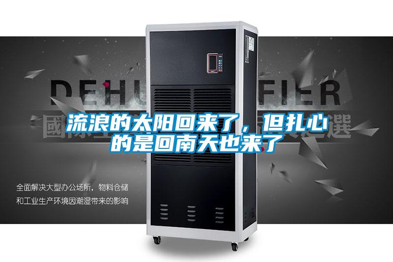 流浪的太阳回来了，但扎心的是回南天也来了