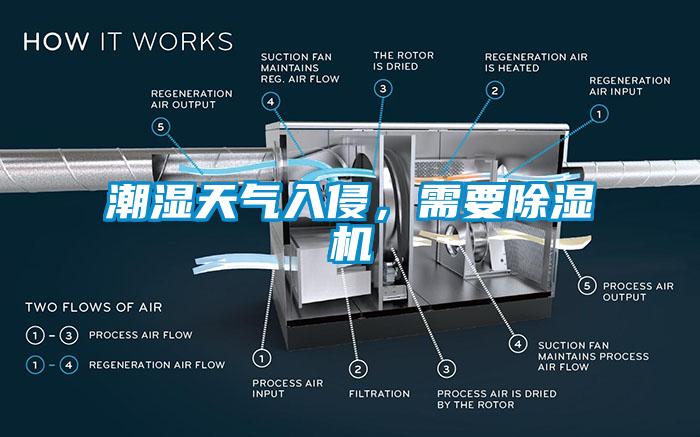 潮湿天气入侵，需要除湿机