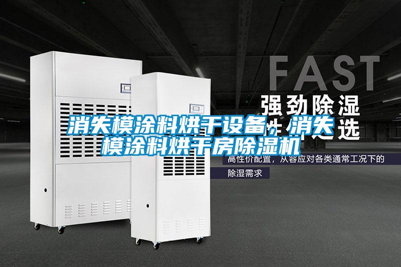 消失模涂料烘干设备，消失模涂料烘干房除湿机