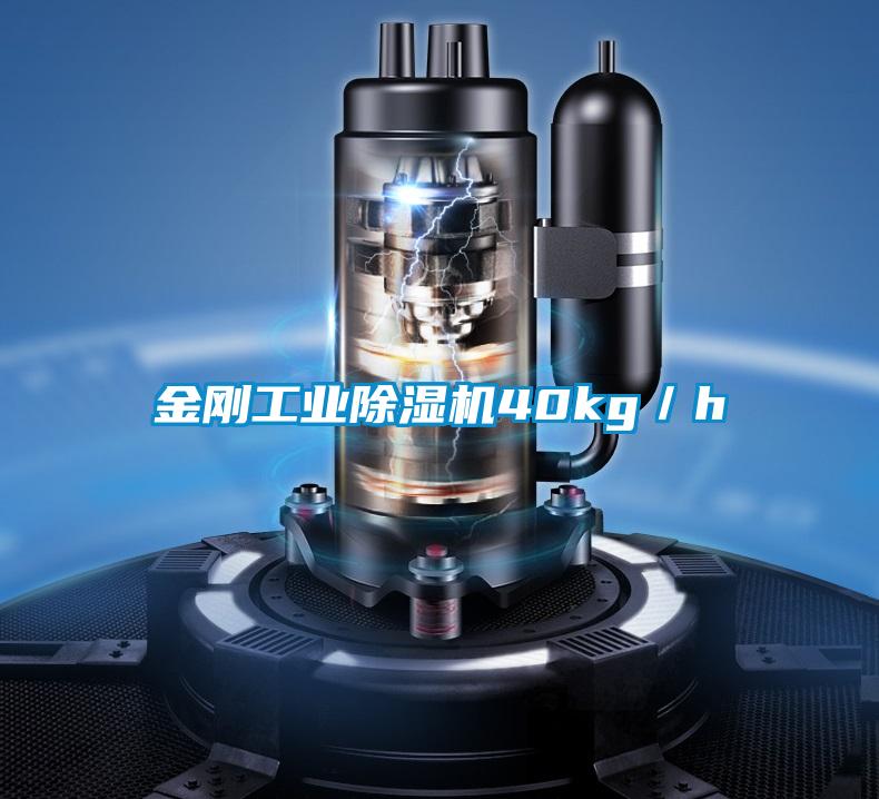金刚工业除湿机40kg／h