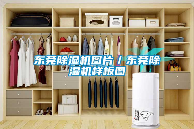 东莞除湿机图片／东莞除湿机样板图