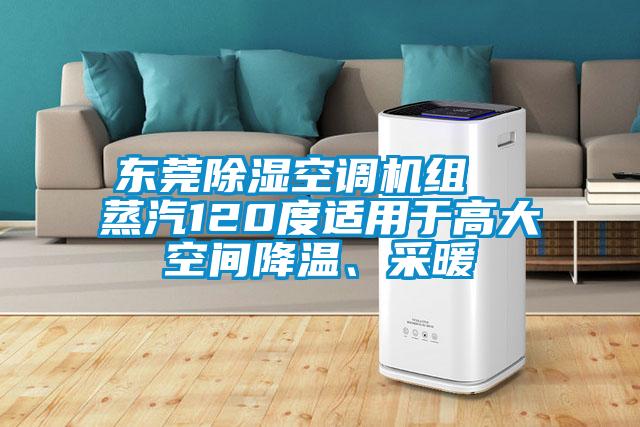 东莞除湿空调机组  蒸汽120度适用于高大空间降温、采暖