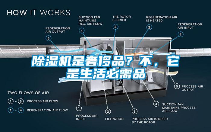 除湿机是奢侈品？不，它是生活必需品