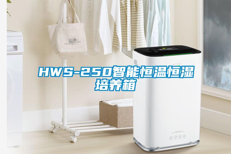 HWS-250智能恒温恒湿培养箱