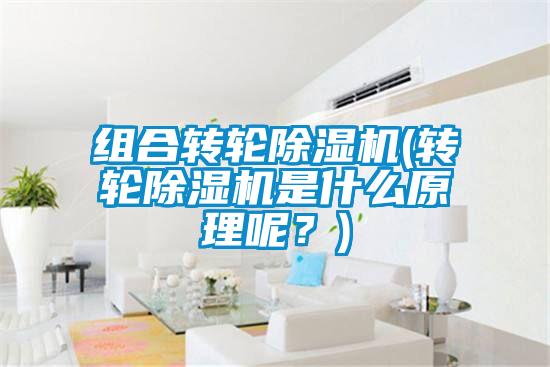 组合转轮除湿机(转轮除湿机是什么原理呢？)
