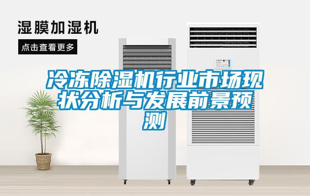 冷冻除湿机行业市场现状分析与发展前景预测