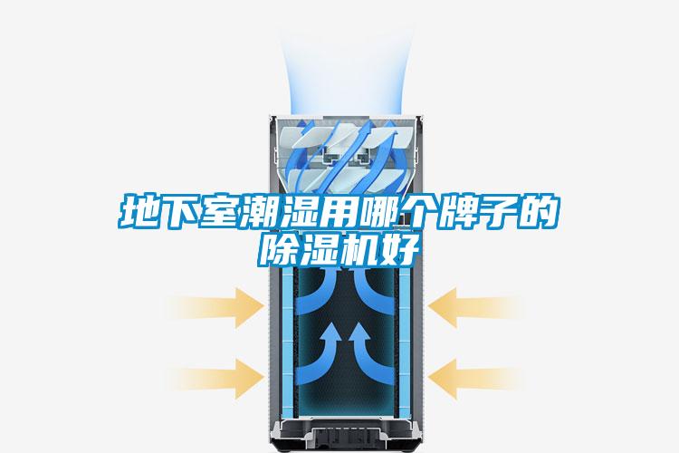 地下室潮湿用哪个牌子的除湿机好