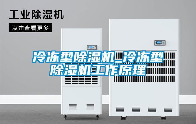 冷冻型除湿机_冷冻型除湿机工作原理