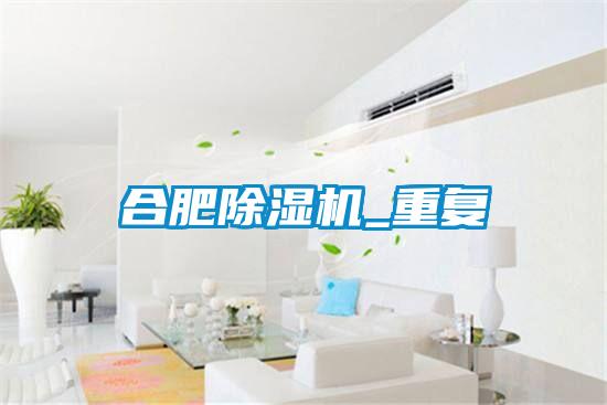 合肥除湿机_重复