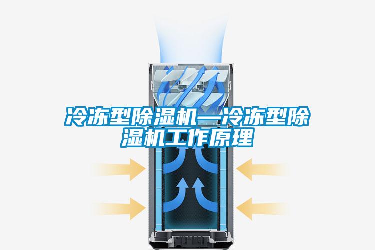 冷冻型除湿机—冷冻型除湿机工作原理