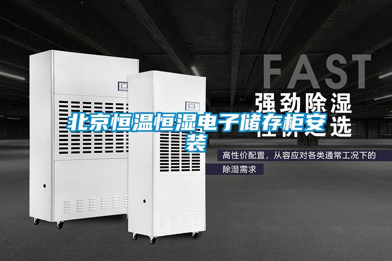 北京恒温恒湿电子储存柜安装
