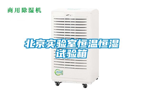 北京实验室恒温恒湿试验箱