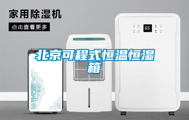北京可程式恒温恒湿箱