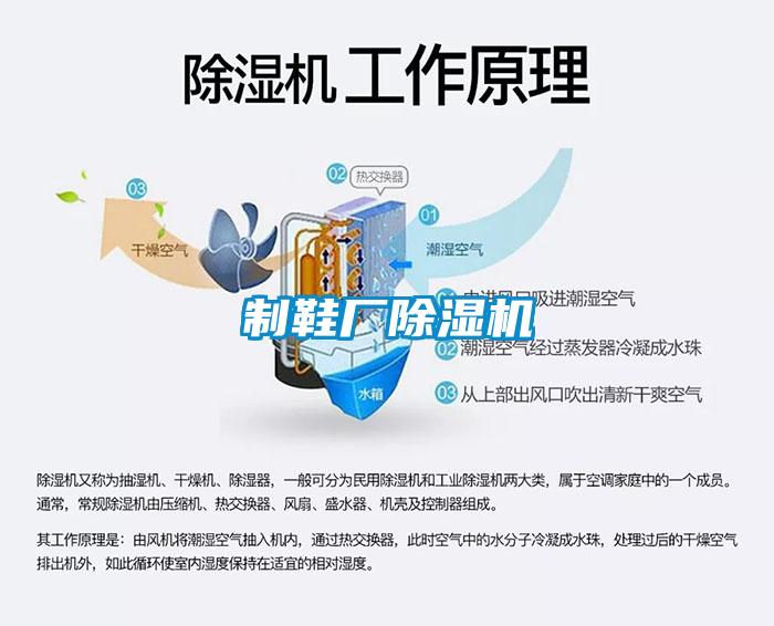 制鞋厂除湿机