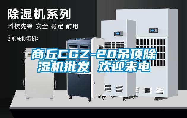 商丘CGZ-20吊顶除湿机批发 欢迎来电