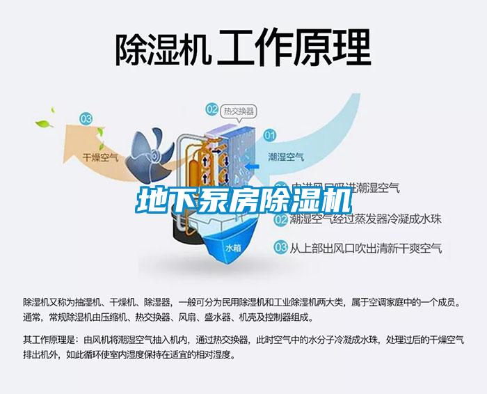 地下泵房除湿机