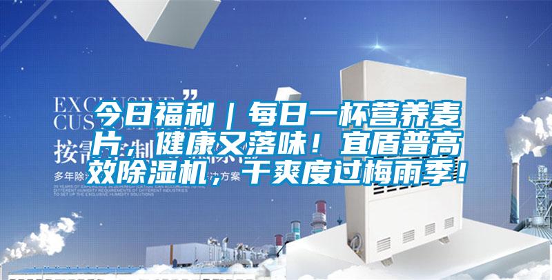 今日福利｜每日一杯营养麦片，健康又落味！宜盾普高效除湿机，干爽度过梅雨季！