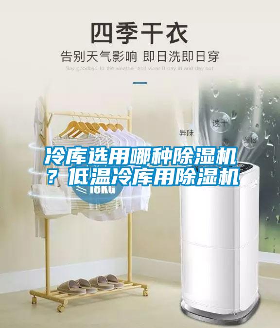 冷库选用哪种除湿机？低温冷库用除湿机