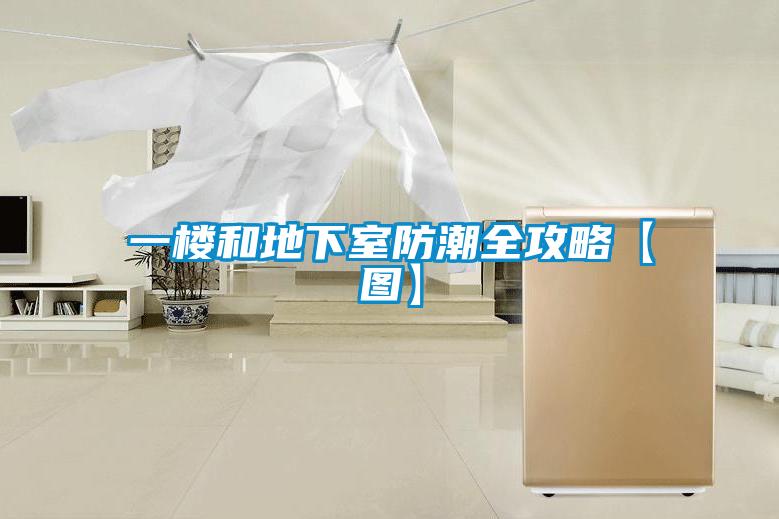 一楼和地下室防潮全攻略【图】