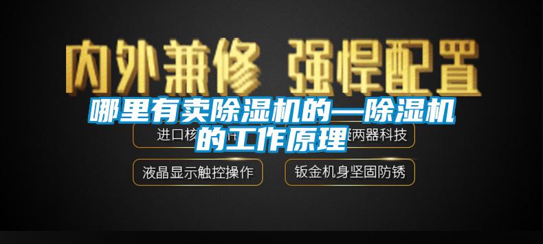 哪里有卖除湿机的—除湿机的工作原理