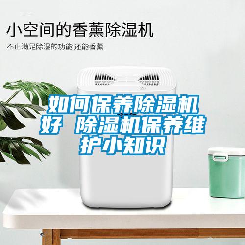 如何保养除湿机好 除湿机保养维护小知识