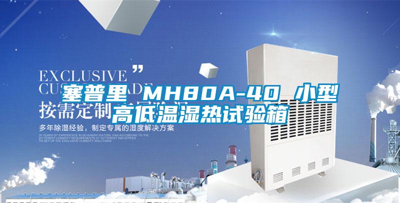 塞普里 MH80A-40 小型高低温湿热试验箱