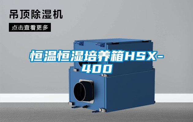 恒温恒湿培养箱HSX-400