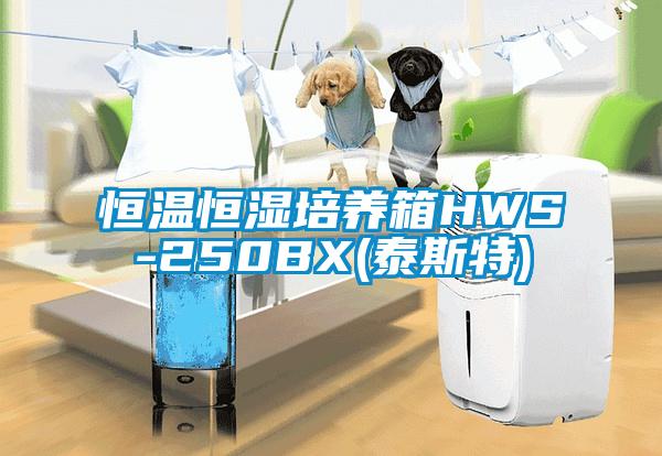 恒温恒湿培养箱HWS-250BX(泰斯特)