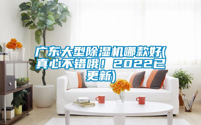 广东大型除湿机哪款好(真心不错哦！2022已更新)