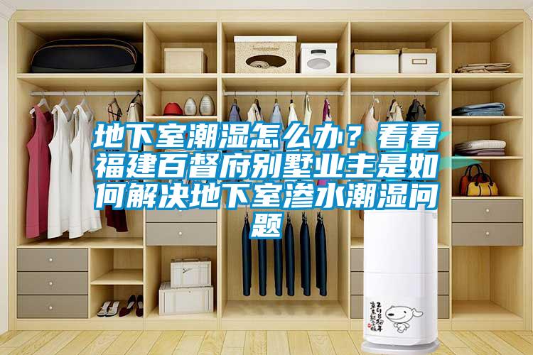 地下室潮湿怎么办？看看福建百督府别墅业主是如何解决地下室渗水潮湿问题