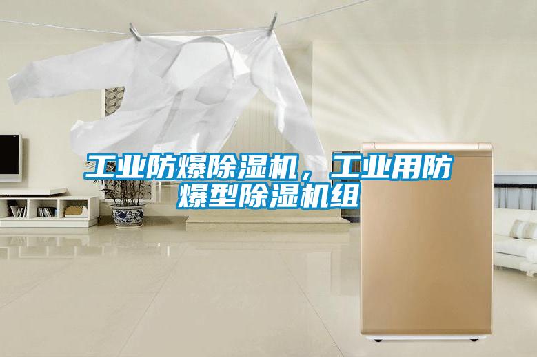 工业防爆除湿机，工业用防爆型除湿机组