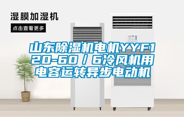 山东除湿机电机YYF120-60／6冷风机用电容运转异步电动机