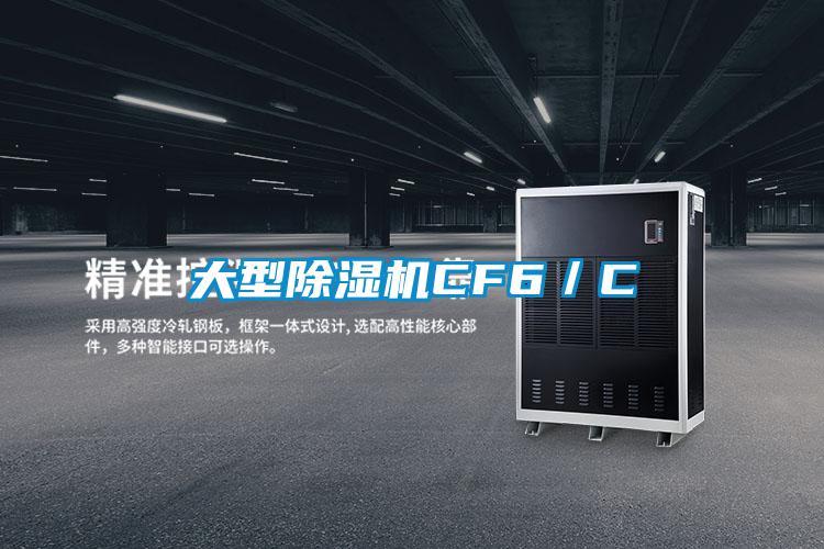 大型除湿机CF6／C