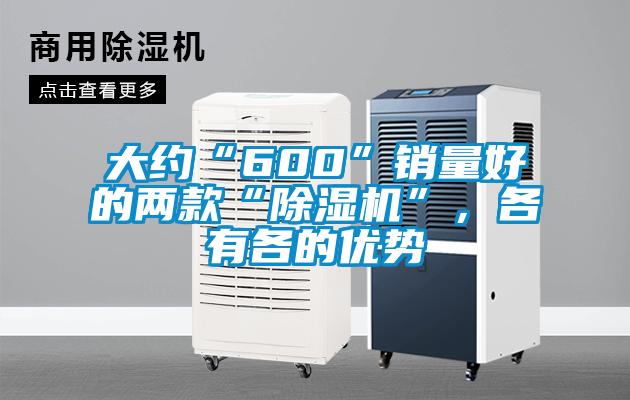 大约“600”销量好的两款“除湿机”，各有各的优势