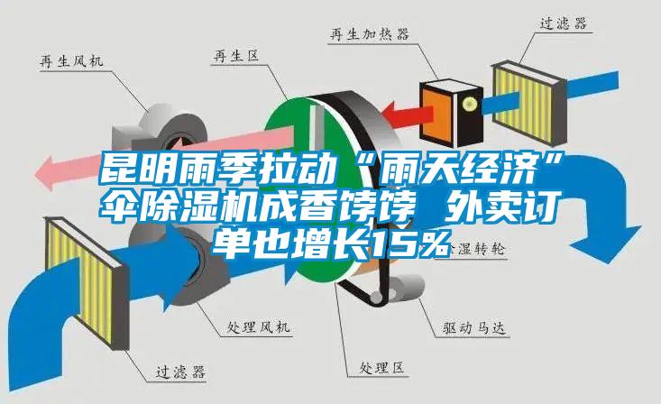 昆明雨季拉动“雨天经济”伞除湿机成香饽饽 外卖订单也增长15%