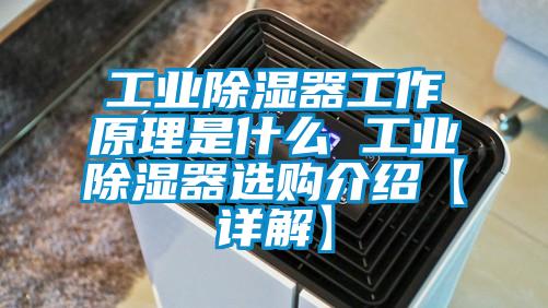 工业除湿器工作原理是什么 工业除湿器选购介绍【详解】