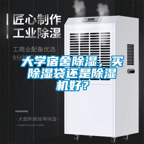 大学宿舍除湿，买除湿袋还是除湿机好？