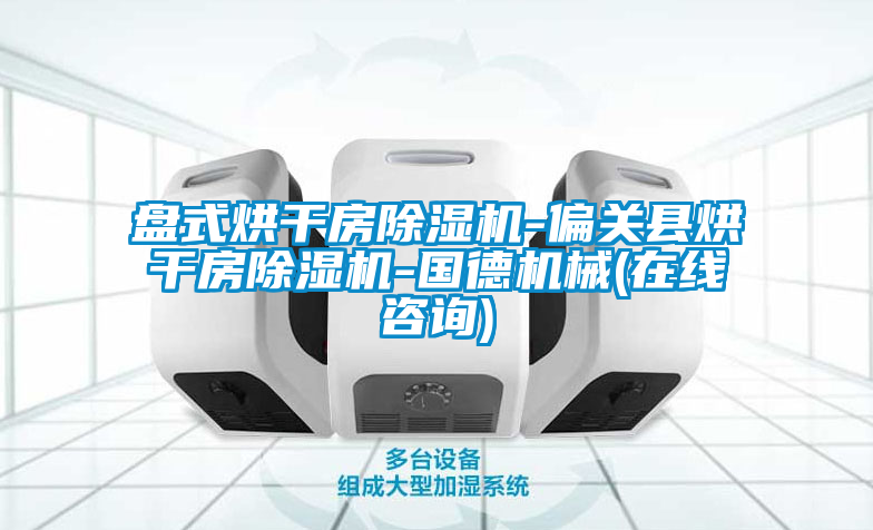 盘式烘干房除湿机-偏关县烘干房除湿机-国德机械(在线咨询)