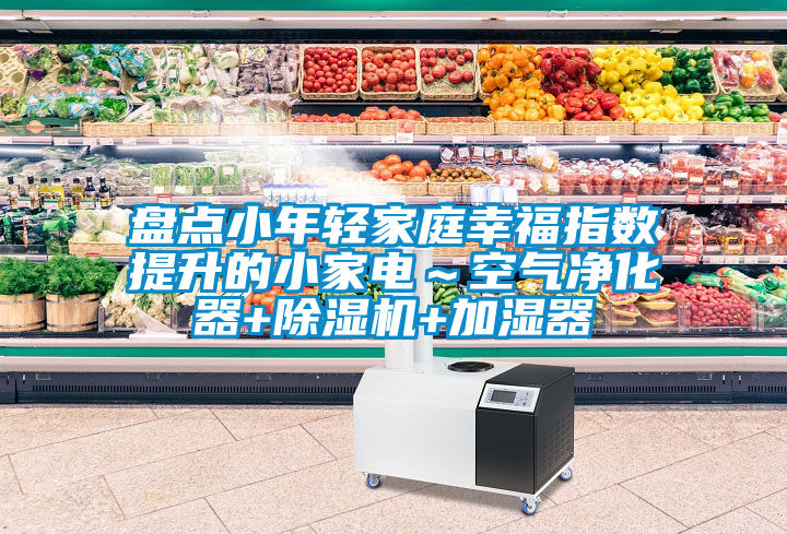盘点小年轻家庭幸福指数提升的小家电～空气净化器+除湿机+加湿器