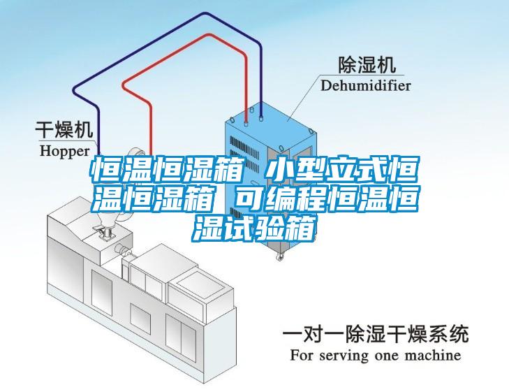 恒温恒湿箱 小型立式恒温恒湿箱 可编程恒温恒湿试验箱
