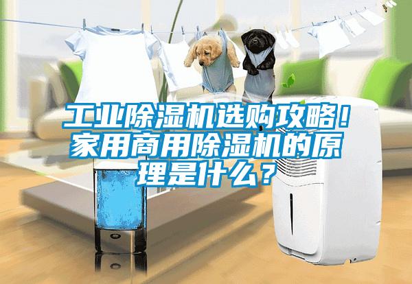 工业除湿机选购攻略！家用商用除湿机的原理是什么？