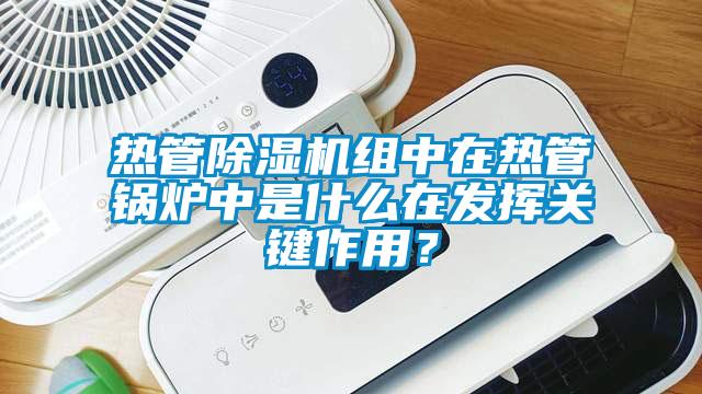 热管除湿机组中在热管锅炉中是什么在发挥关键作用？