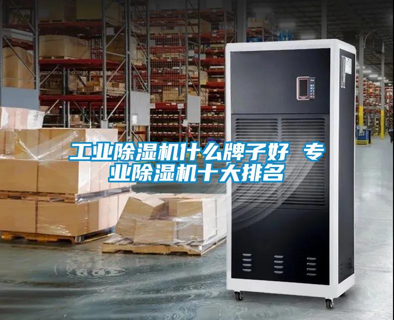 工业除湿机什么牌子好 专业除湿机十大排名